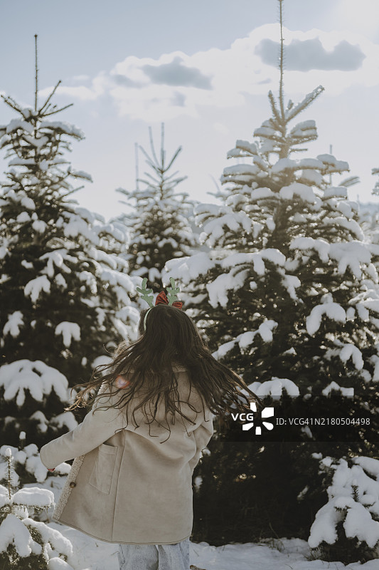 雪 covered 冷杉树前的冬衣女孩图片素材