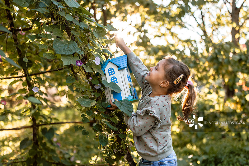 小女孩在花园的树上挂鸟屋图片素材