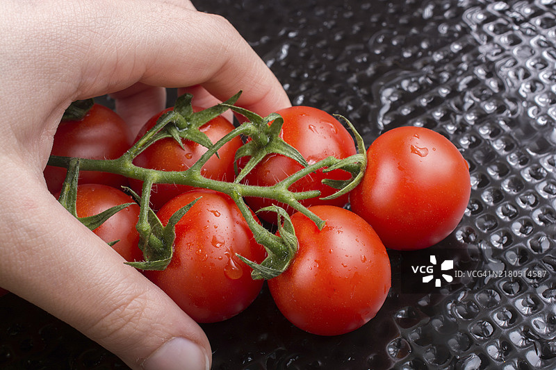 手里拿着的一堆红色成熟美味的樱桃番茄图片素材