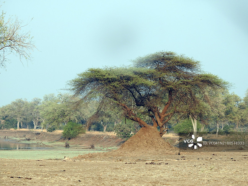 卢旺戈河谷。图片素材
