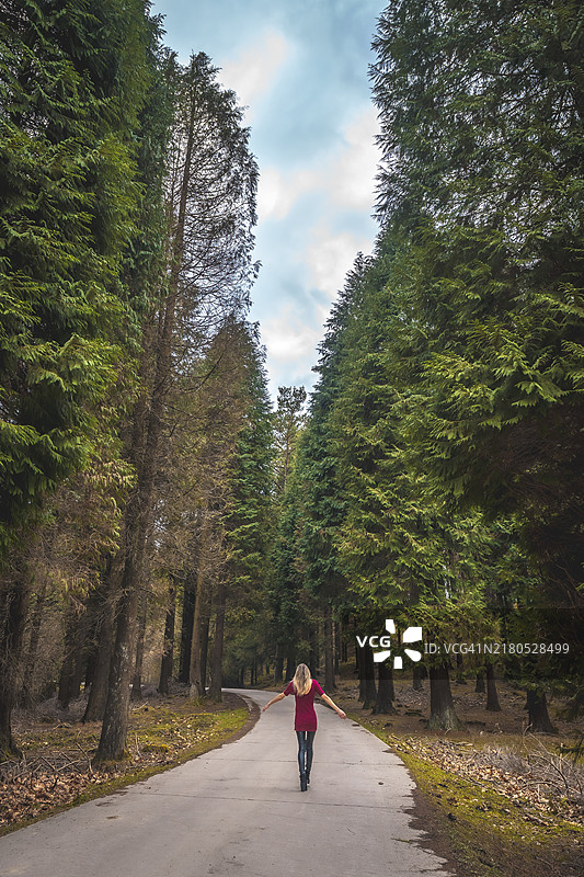 身穿红裙的年轻金发女子在巨大的松树林中，生活写真图片素材