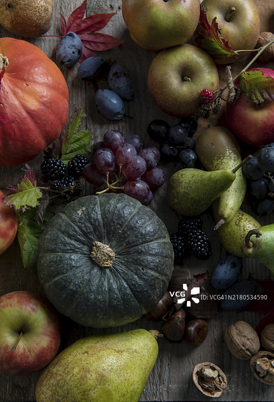 秋季水果南瓜葡萄梨苹果李子核桃栗子黑莓图片素材