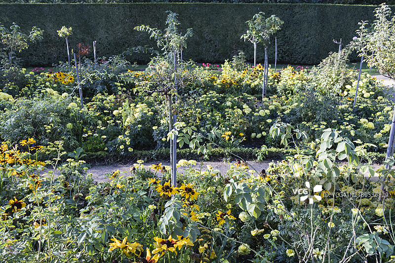 德国波茨坦夏洛滕霍夫公园风光（九月）图片素材