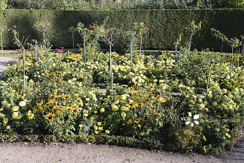 德国波茨坦夏洛滕霍夫公园风光（九月）图片素材