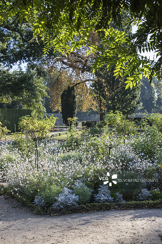 德国波茨坦夏洛滕霍夫公园风光（九月）图片素材