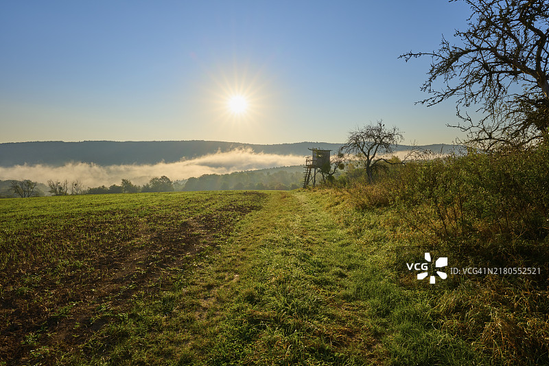 德国巴伐利亚，树木繁茂草甸上的晴朗早晨图片素材