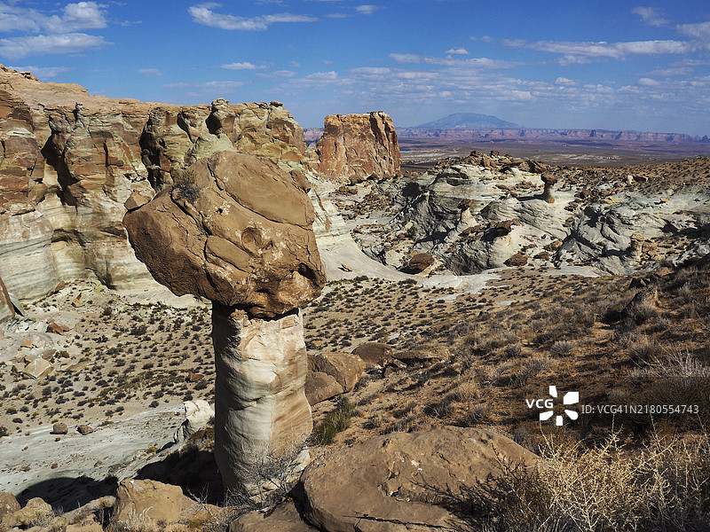 格伦峡谷国家游乐区马 stud 马点附近的石柱林，佩奇，亚利桑那州-犹他州州界图片素材