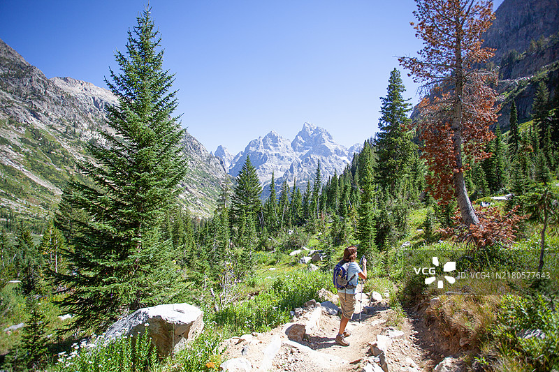 在大提顿国家森林中徒步旅行的女性图片素材