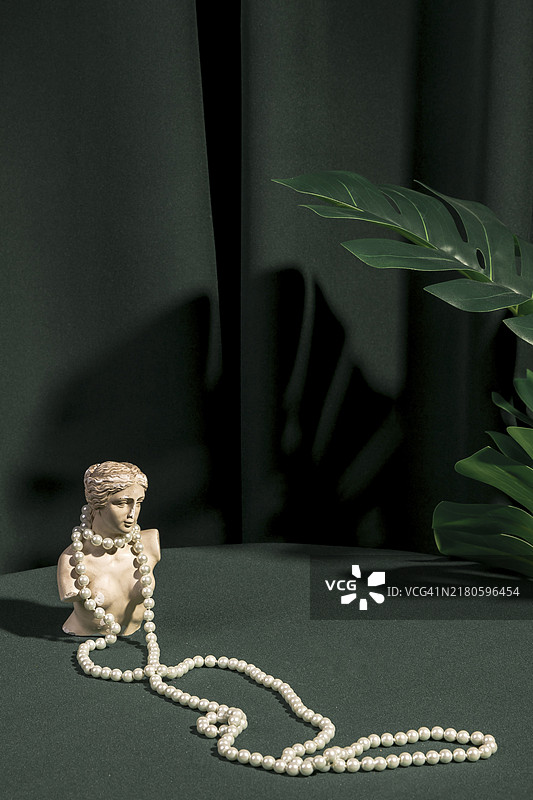 戴珍珠的维纳斯半身像正面图图片素材