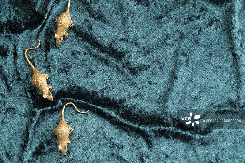 青绿色天鹅绒上的老鼠摆件扁平风格照片图片素材