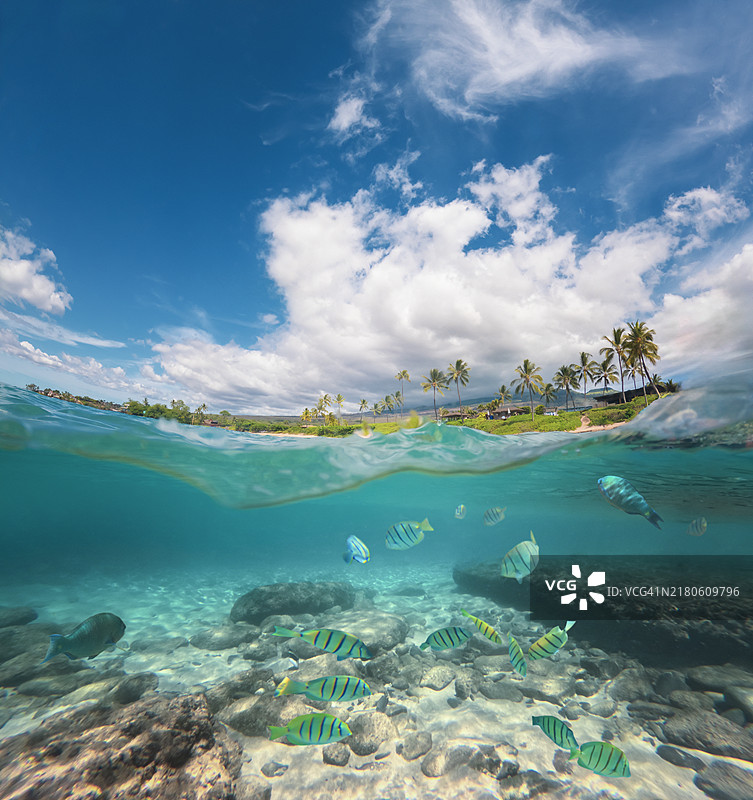 毛伊岛图片素材