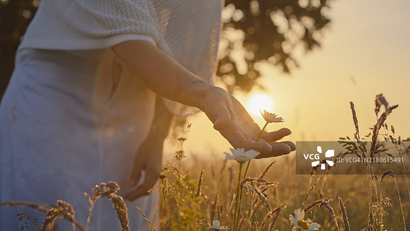 黄昏时分与白人女子和野花的户外时刻图片素材