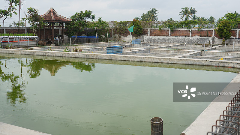 有建筑物和树木的池塘图片素材