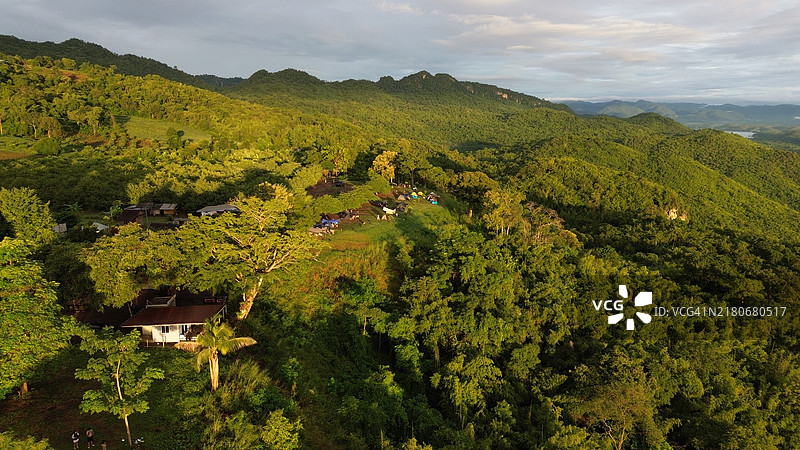 美丽的山地森林图片素材