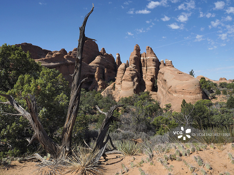 犹他州拱门国家公园魔鬼花园原始小径环线的砂岩石图片素材