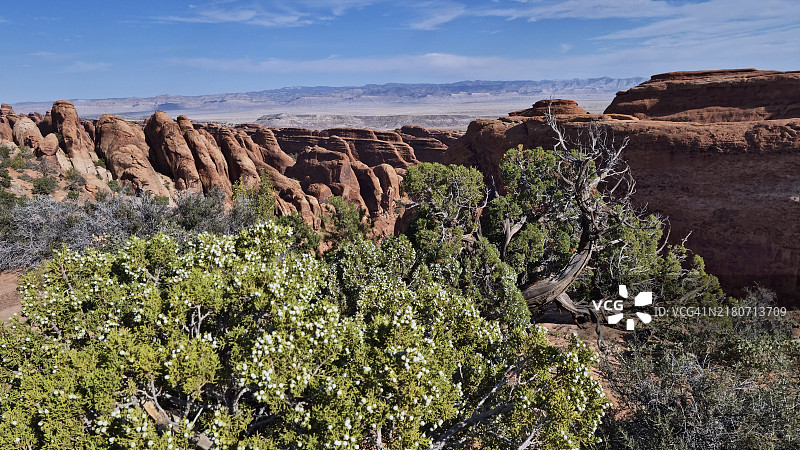拱门国家公园魔鬼花园风光，犹他州图片素材