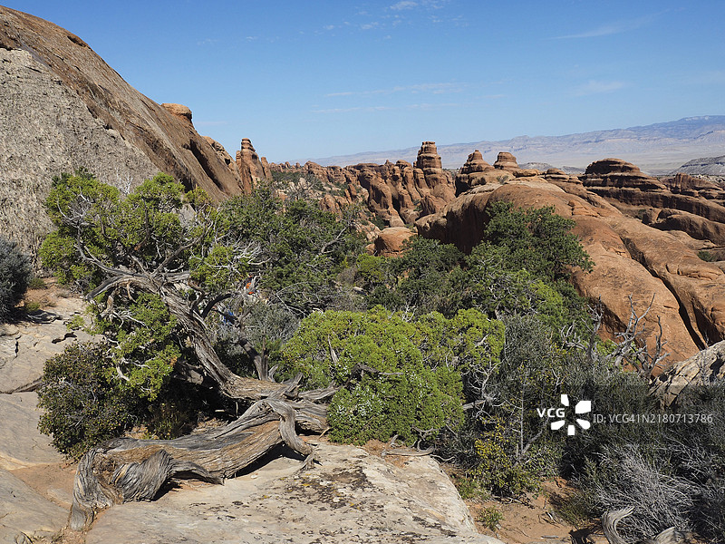 拱门国家公园魔鬼花园风光，犹他州图片素材