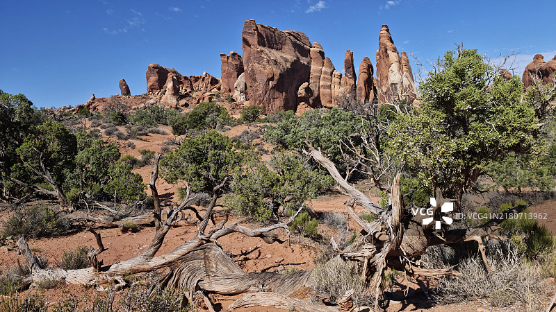 拱门国家公园魔鬼花园的砂岩岩层图片素材