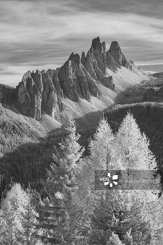 意大利多洛米蒂山脉克罗达达拉戈山脉的树木红外图像图片素材