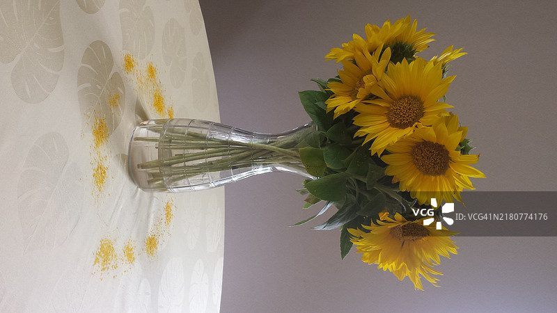 桌子上花瓶里的向日葵特写图片素材