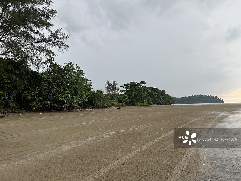 马来西亚海滩上的树木与天空相映成趣图片素材