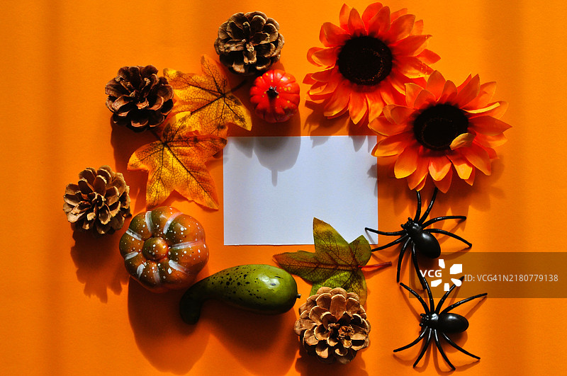 从上方直接拍摄的万圣节装饰，背景为橙色图片素材