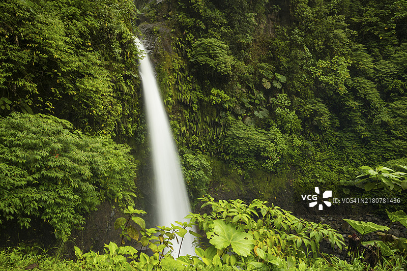 哥斯达黎加雨林中的壮丽瀑布图片素材