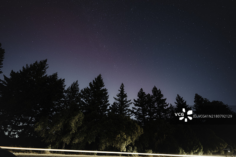 夜空下树木的低角度视图，加利福尼亚州萨拉托加，美国图片素材