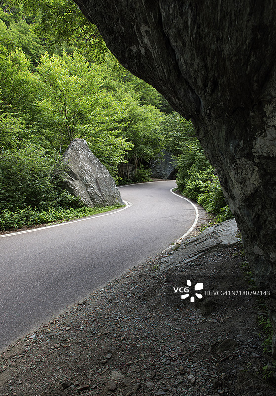空旷的道路穿过树木，斯托威，佛蒙特州，美国图片素材
