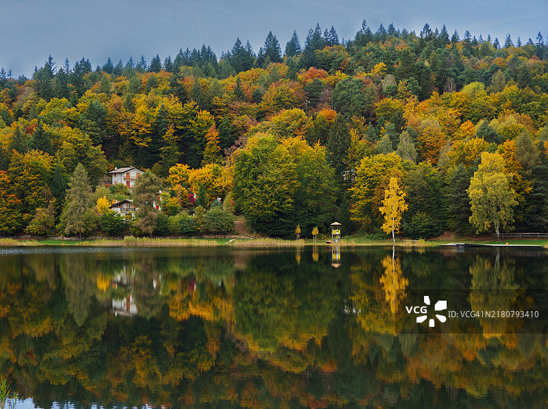 秋天森林中湖边的树木图片素材