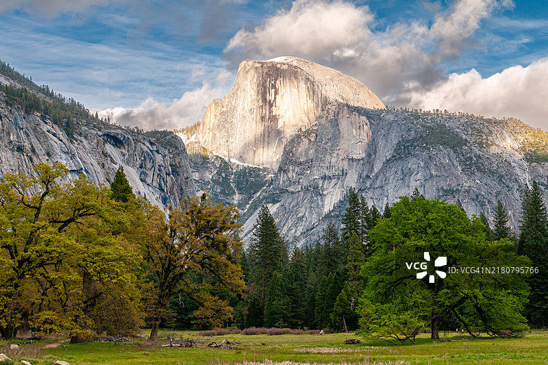加利福尼亚州的松树全景与天空相映， 美国图片素材