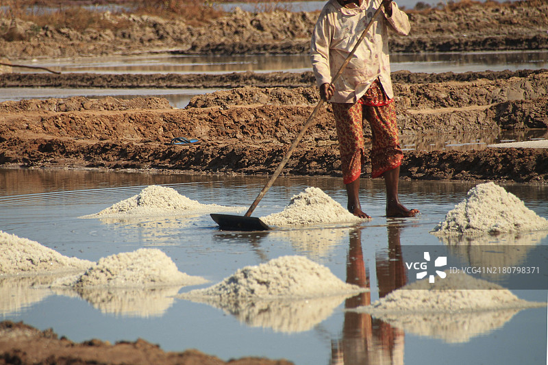 在柬埔寨贡布，一个人用木铲收获盐，周围是成堆的白盐图片素材