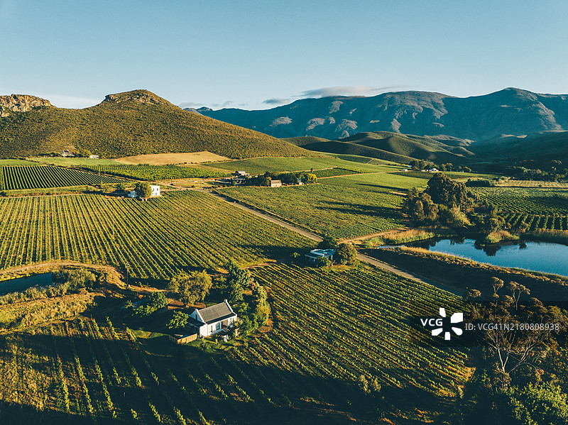 南非罗伯逊葡萄园的日落景色。图片素材