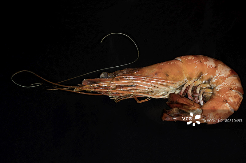 炸大虎虾的影棚照片，黑色背景图片素材