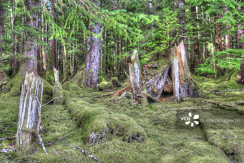 废弃的古代部落房屋遗址图片素材