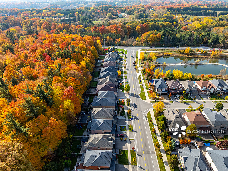 加拿大沃恩伍德布里奇松树村的韦洛尔村和科特赖特保护中心图片素材