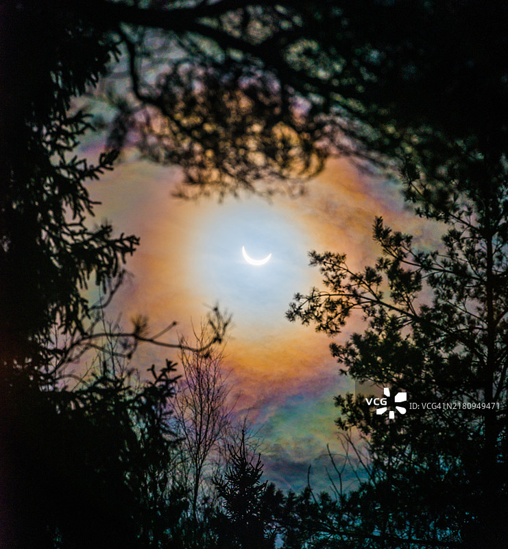 透过森林空地观看的日食图片素材