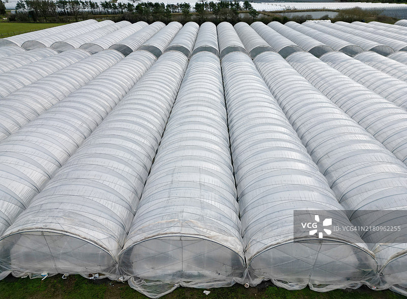 农场上的大棚图片素材