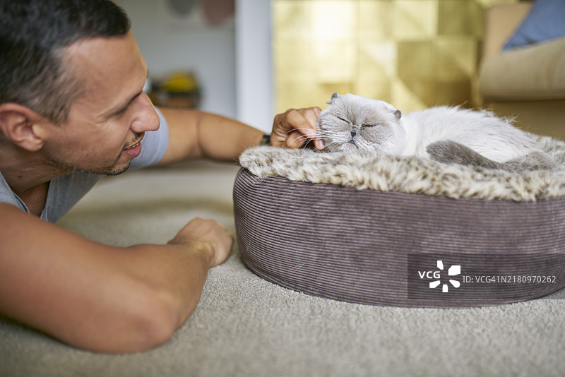 侧视图：男人在地板上抚摸着家里的猫图片素材