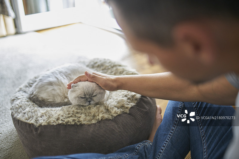 肩后视角：男子在家抚摸猫图片素材