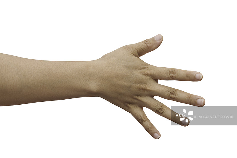 女人的手在白色背景上。图片素材