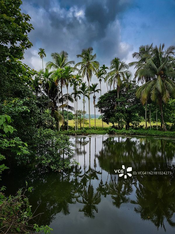湖边的棕榈树与天空的美丽景色图片素材
