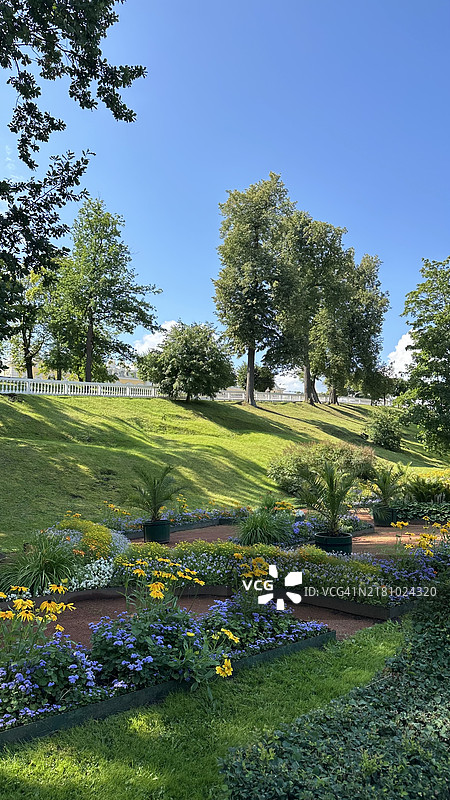 俄罗斯天空下盛开的植物和树木的美丽景色图片素材
