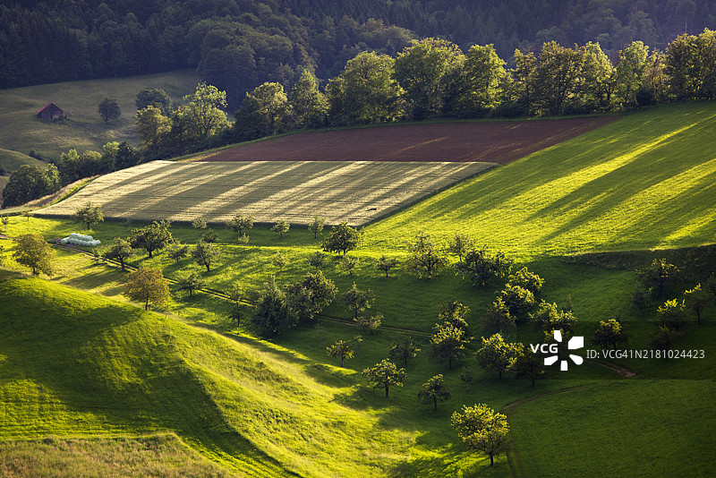 农业田野的美丽景色图片素材