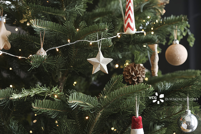 圣诞树特写图片素材