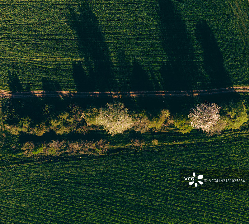 农业田地的鸟瞰图图片素材