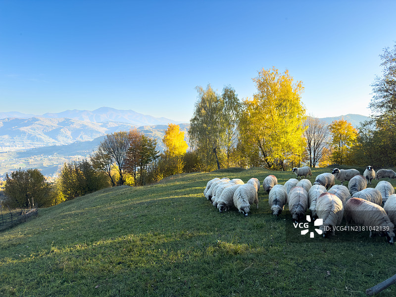 美丽的秋季风景图片素材
