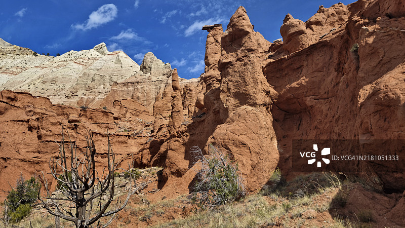 犹他州科达克罗姆盆地州立公园的“帽子店”图片素材