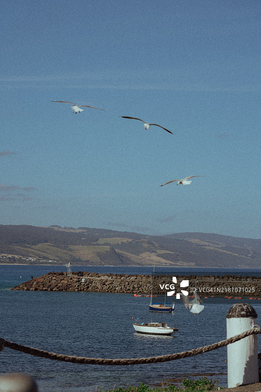 阿波罗湾港口图片素材