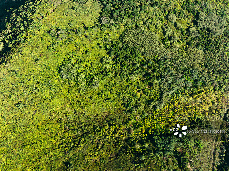 夏季山丘正上方图片素材